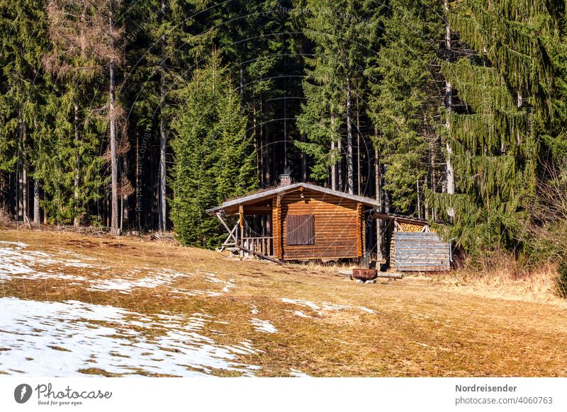 Jagdhütte im Thüringer Wald blockhaus ferienhaus holzhaus rustikal bungalow jagdhütte fichten fichtenwald wiese gras urig schutzhütte natürlich warm wildnis