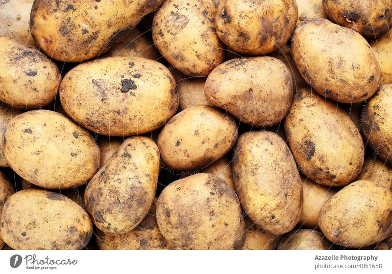 Bio-Kartoffeln ohne GVO. Ackerbau Hintergrund braun Haufen Nahaufnahme Essen zubereiten lecker Diät essen Landwirte Landwirtschaft Lebensmittel frisch grün