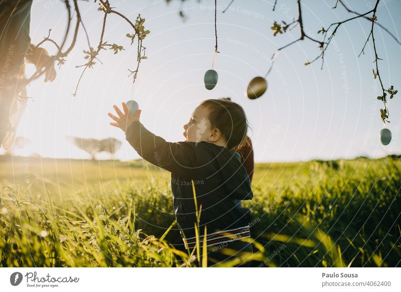 Kind spielt mit Ostereiern im Freien Ostern 1-3 Jahre Kaukasier Frühling Tradition Kindheit Feste & Feiern Natur Außenaufnahme Dekoration & Verzierung Osternest