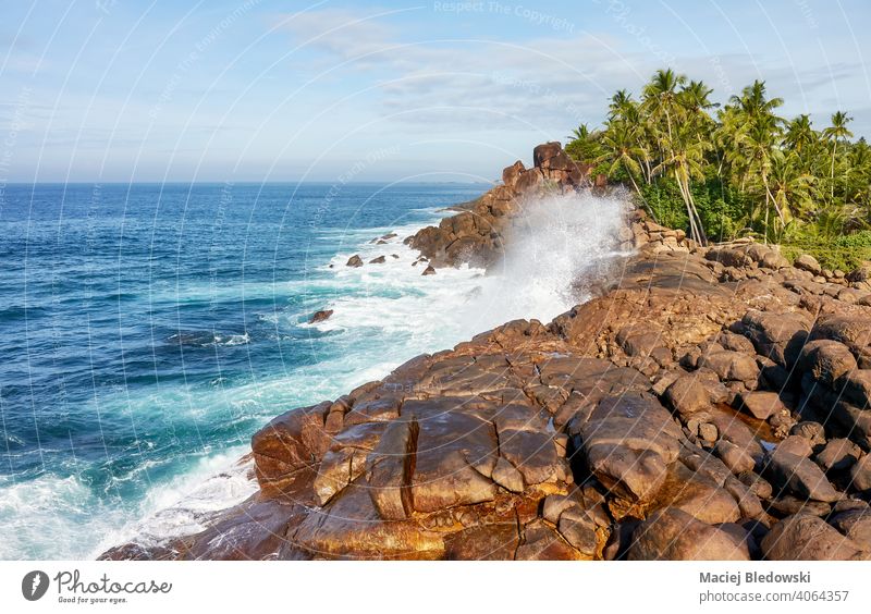 Schöne Landschaft der malerischen Westküste Sri Lankas. schön Küste Felsen MEER Handfläche Wasser Sommer sonnig Natur Meer Wetter Meereslandschaft Horizont