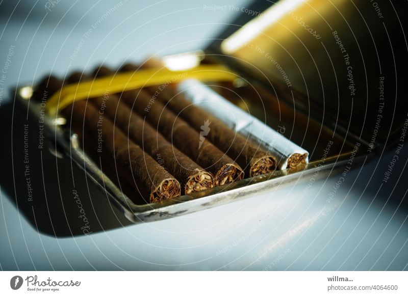 Zigarillos und eine Zigarette in einem silbernen Zigarettenetui Tabakwaren Nikotin Minderheit Randgruppe Raucher ungesund Rauchen Sucht Abhängigkeit