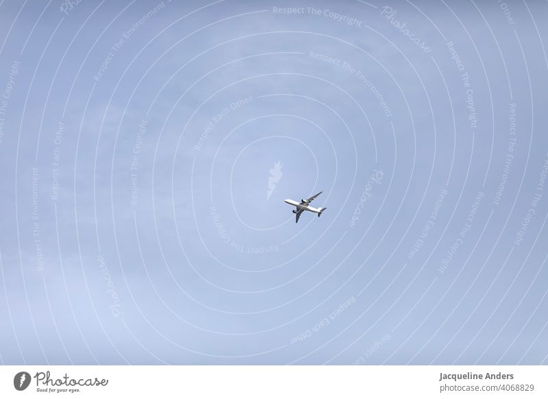 einzelnes Flugzeug fliegt am Himmel fliegen Wolken Luftverkehr blau Ferien & Urlaub & Reisen Passagierflugzeug Außenaufnahme Farbfoto Tourismus Menschenleer