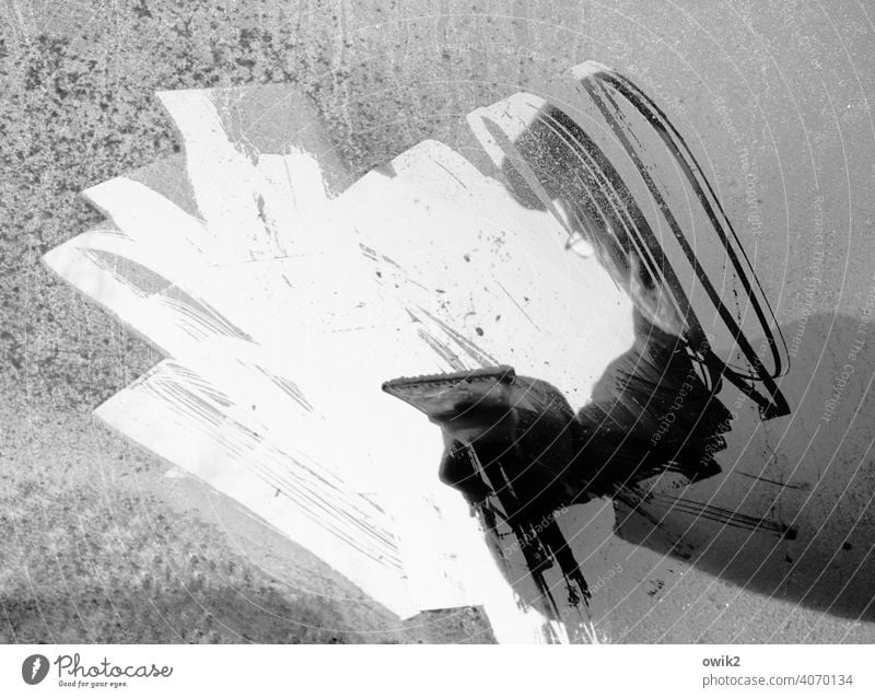 Nachtfrost / vereiste Windschutzscheibe / Eisblumen - ein lizenzfreies Stock  Foto von Photocase