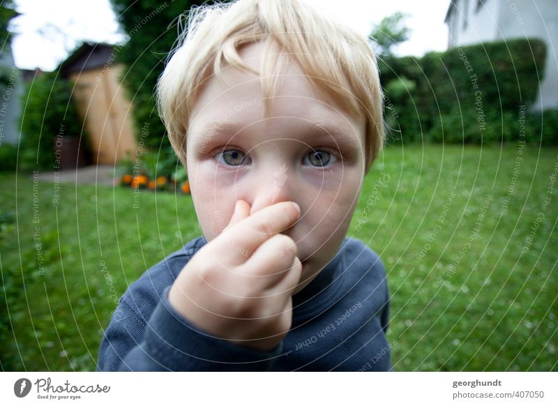 Es riecht schlecht und nach Augen. Wohnung Haus Mensch maskulin Kind Junge Bruder Kindheit Kopf Gesicht Nase 1 1-3 Jahre Kleinkind 3-8 Jahre Sommer Garten blond