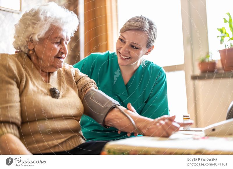 Pflegerin misst den Blutdruck einer Seniorin zu Hause echte Menschen offen Frau reif Kaukasier älter heimwärts alt Alterung häusliches Leben Großmutter