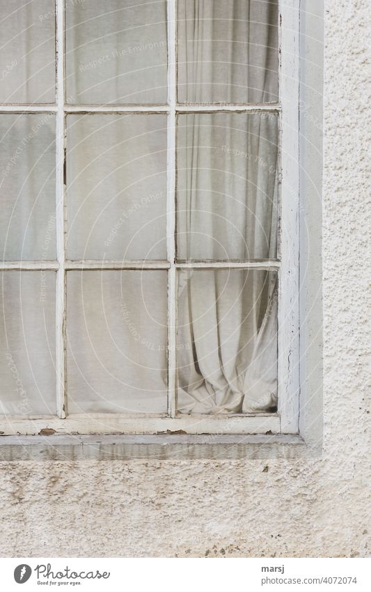 Fenster zur grau-weißen Vorhangwelt. Altes, verwittertes Fenster in schmutziger Fassade. alt Haus Einsamkeit verfallen Putz Angst Traurigkeit gruselig
