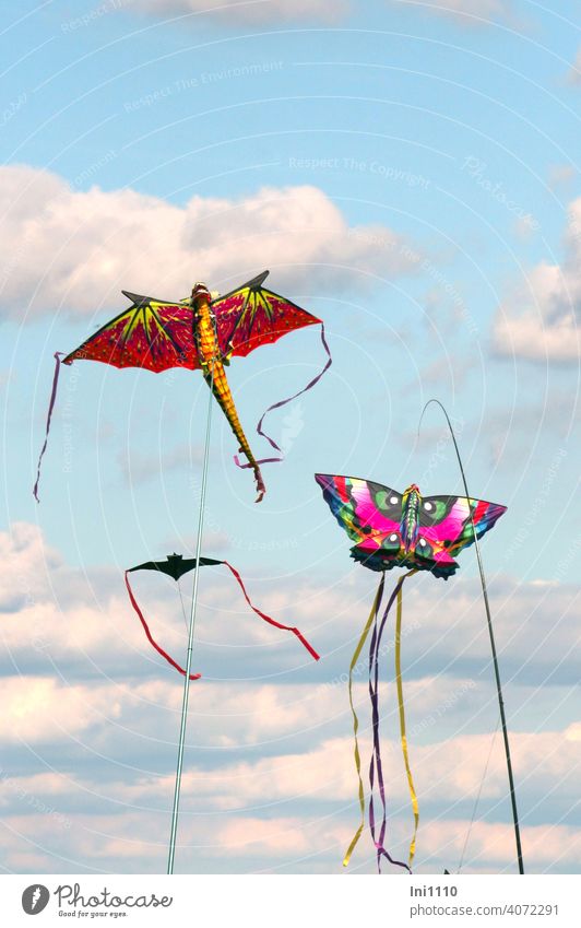bunte Flugobjekte am Himmel Drachen Drachenfest Fabelwesen Schmetterling Hobby Freizeit Spaß Wind Wetter Wolken schönes Wetter Drachenfliegen