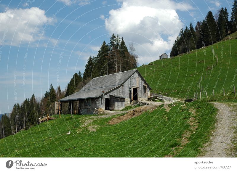 Alpenidylle Alm Sommertag Berghütte Berge u. Gebirge Blauer Himmel Almweide grüne Wiese