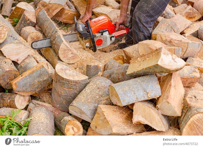 Holzfäller schneidet Brennholz auf dem Hof mit Kettensäge Klinge anketten hacken geschnitten Staubwischen Motor Feller zwängen Gras Boden Haufen Hewer Job