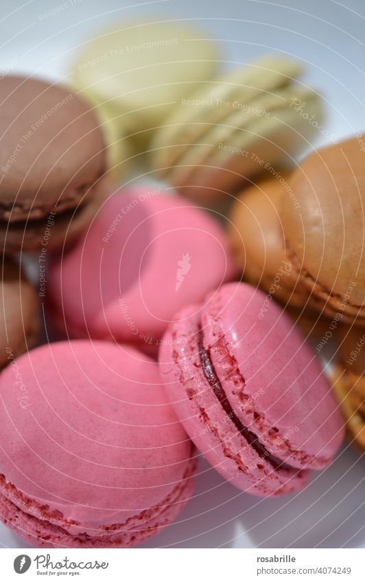 Macaroons | !Trash! 2021 Makrone Makronen süß lecker Dessert Biskuit Lebensmittel Konfekt Französisch Macaron Feinschmecker Snack geschmackvoll bunt ungesund