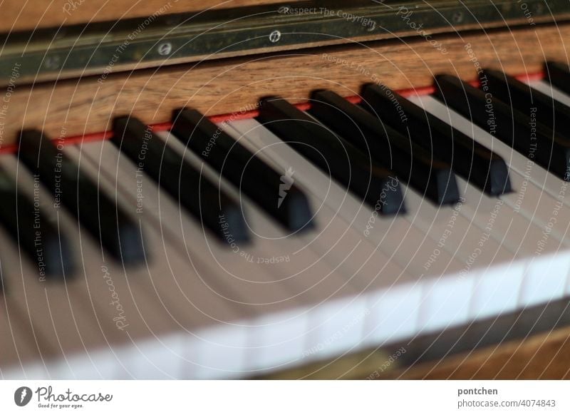 die tasten eines klaviers instrument musik Konzert Musikinstrument Klavier spielen Tasteninstrumente Klaviatur klassische musik Detailaufnahme Freizeit & Hobby