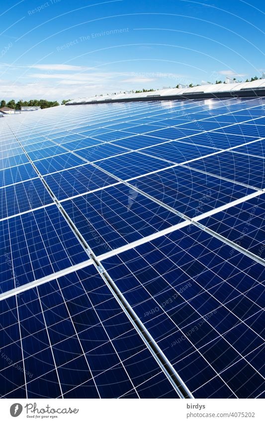 Eine Fläche von vielen photovoltaikmodulen. Solarkraftwerk auf einem Industriedach , viele Solarpaneele , Photovoltaik Sonnenenergie Solarenergie