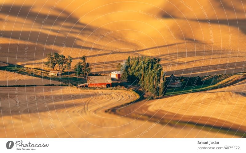 Spielzeug-Farm Scheune Bauernhof Ernte Landschaft Palouse rot Rote Scheune Straße ländlich Steptoe Steptoe Butte Weizen