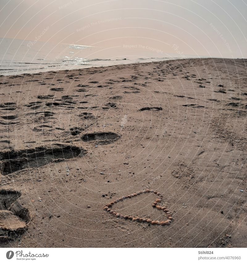mit Muscheln gelegtes Herz am Sandstrand mit Fußspuren Liebe Liebeskummer verliebt Strand Spuren spazieren gehen Dünung Meer Ostsee Nordsee diesig Wetter