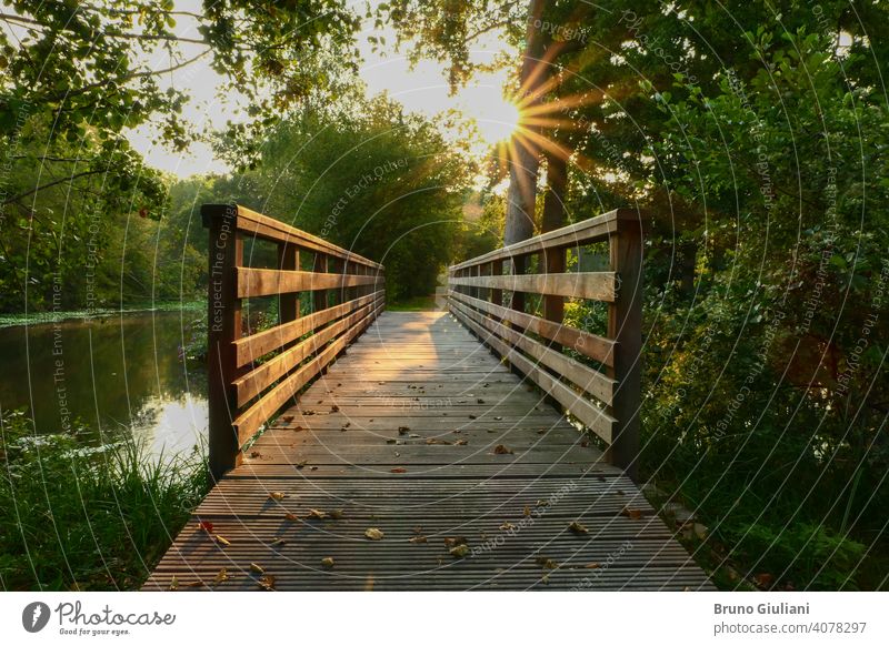 Hölzerne Brücke in der Mitte des Waldes. Strahlen der Sonne durch das Laub der Bäume. Spaziergang in der Natur im Sommer oder Frühling. Abenteuer Hintergrund