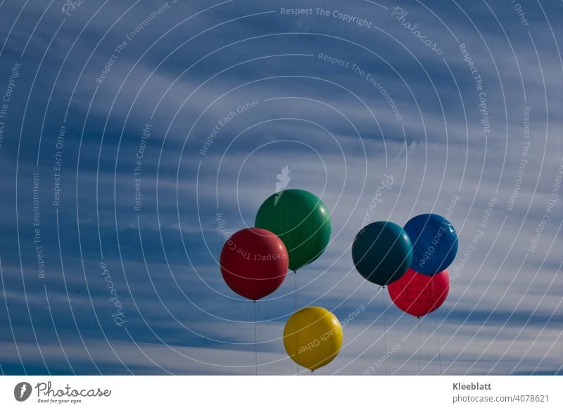 6 Luftballons in den Farben Rot - Grün - Dunkelgrün - Blau - Gelb - Orange schweben in den Blauweißen Himmel - der Rote trägt die Aufschrift "LIEBE" bunt