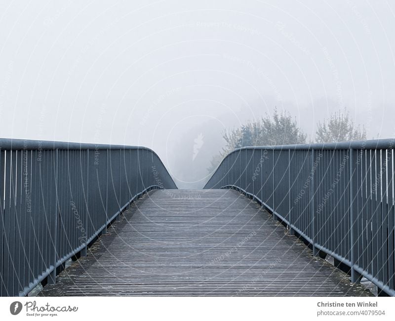 Blick über die leicht gebogene Fußgängerbrücke in Bäume, die schemenhaft im dichten Nebel zu erkennen sind Brücke Wege & Pfade Fußgängerübergang Nebelstimmung