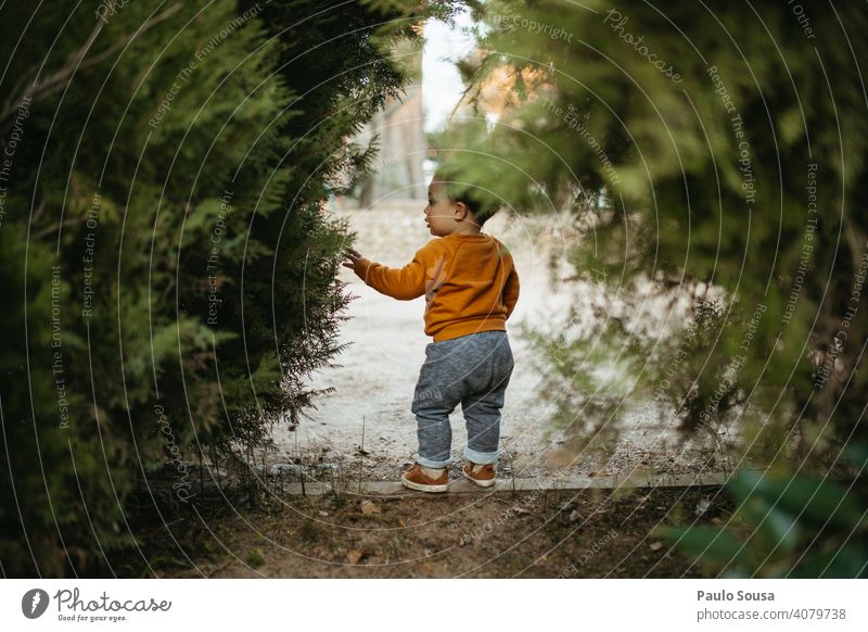 Kind erkundet den Park Kindheit Kaukasier Rückansicht 1-3 Jahre Farbfoto Kleinkind Mensch Lifestyle Freude Spielen Fröhlichkeit mehrfarbig Tag erkunden Natur