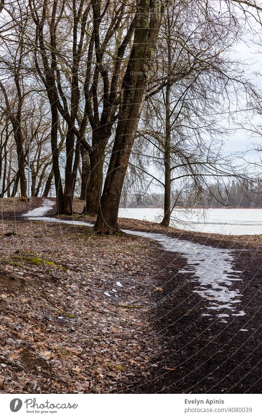 Vertikales Foto eines gefrorenen Weges im Park zwischen Bäumen in der Nähe des gefrorenen Flusses im frühen Frühling, wenn alles noch grau ist, aber der Schnee geschmolzen ist.