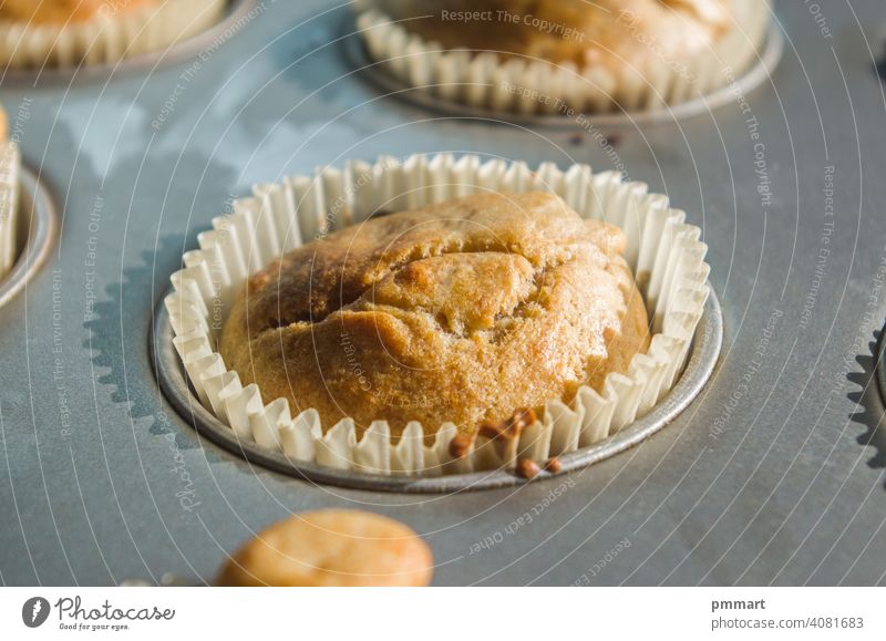 kleine Vanille- und Schokoladenmuffins, die vom Morgenlicht beleuchtet werden, bereit zum Frühstück Muffins Leckerbissen Gebäck Sahne Ofen Licht Sonnenschein
