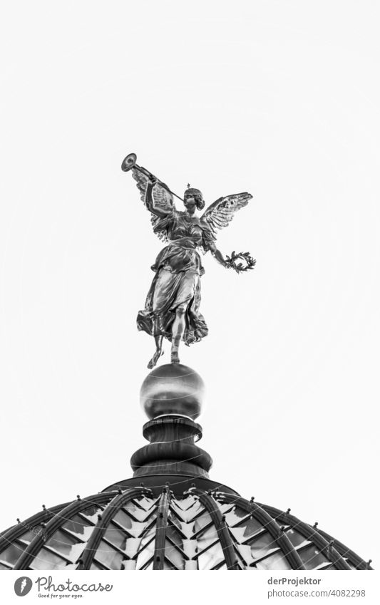 Dresden im Winter: Engel auf Zitruspresse Froschperspektive Starke Tiefenschärfe Sonnenlicht Lichterscheinung Kontrast Schatten Tag Textfreiraum oben