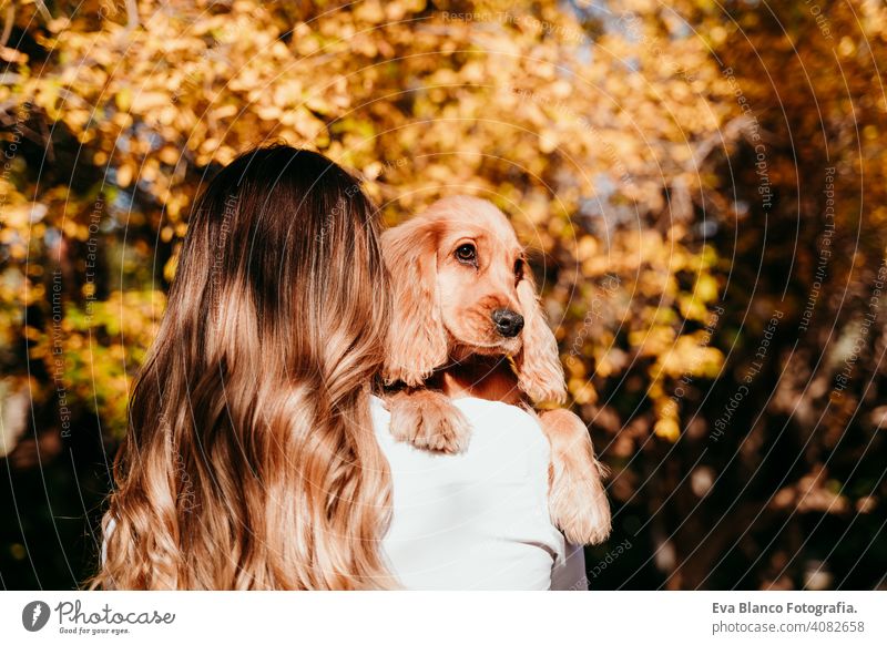 junge Frau und ihr süßer Welpe Cocker Spaniel Hund im Freien in einem Park. Sonniges Wetter, gelbe Blätter Hintergrund Haustier sonnig Liebe Umarmung Lächeln