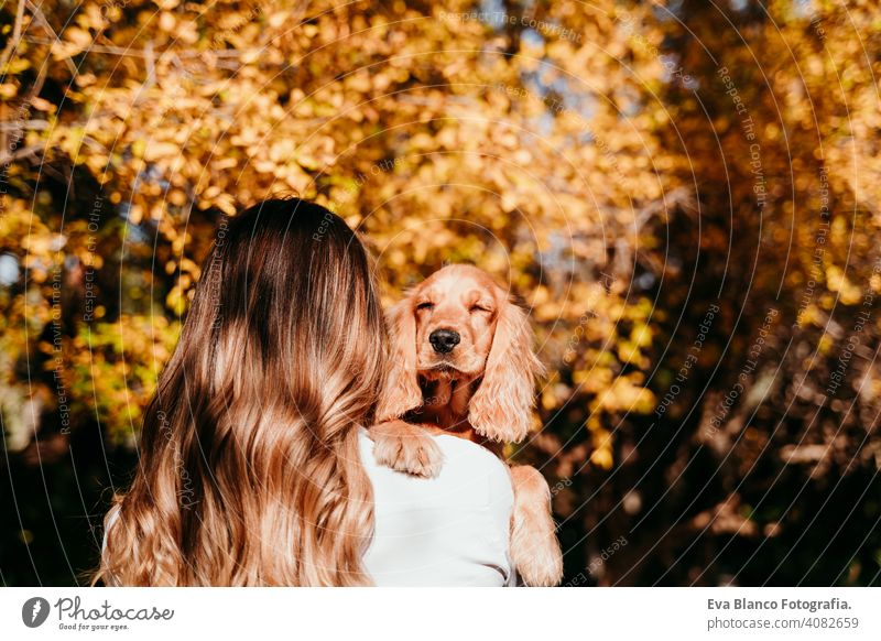 junge Frau und ihr süßer Welpe Cocker Spaniel Hund im Freien in einem Park. Sonniges Wetter, gelbe Blätter Hintergrund Haustier sonnig Liebe Umarmung Lächeln