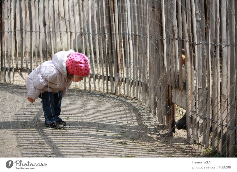 Little Miss meets Piggy Freizeit & Hobby Mensch feminin Kind Kleinkind Mädchen Kindheit 1 1-3 Jahre Mütze Tier Zoo Streichelzoo Schwein beobachten entdecken