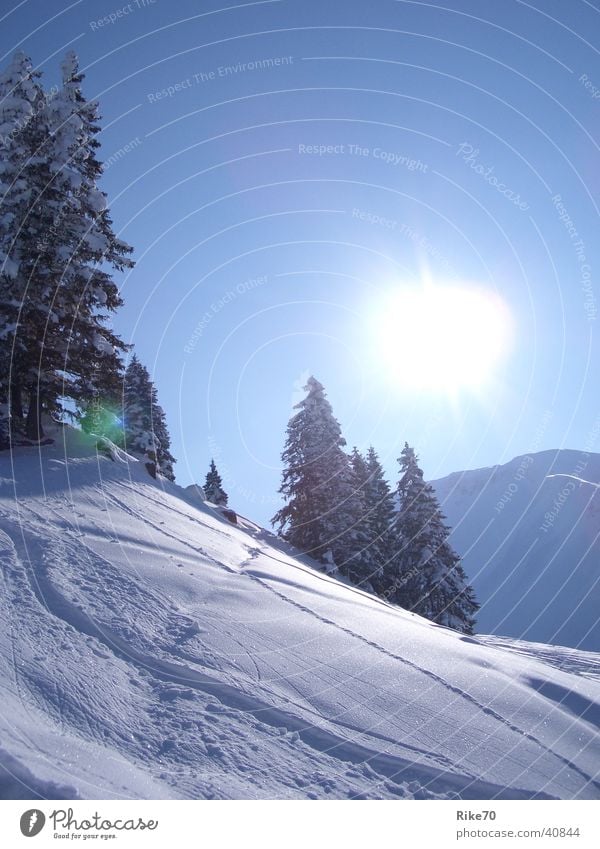 Winterzeit Tanne Berge u. Gebirge Sonne Schnee blau