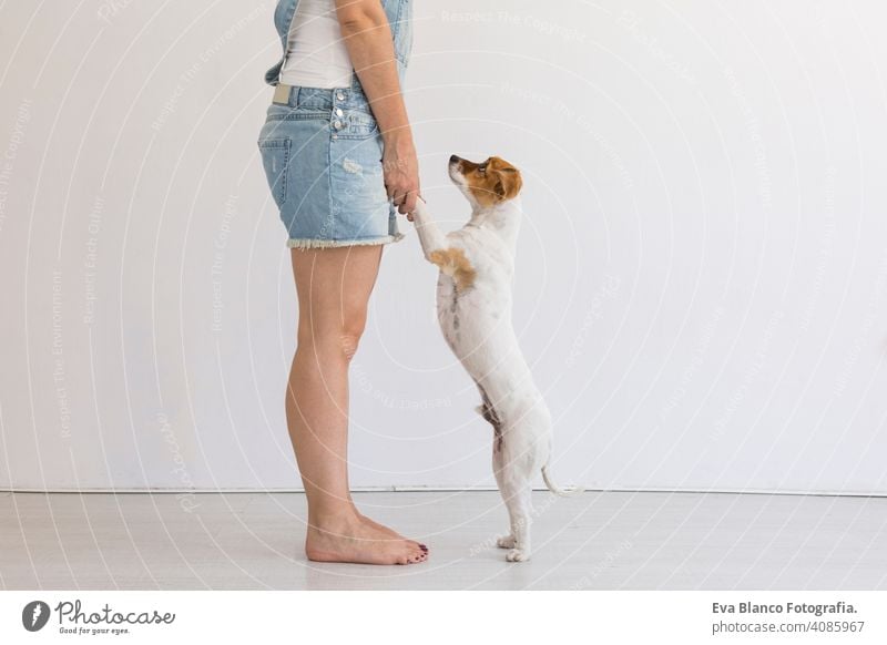 Schöne junge Frau spielt mit ihrem kleinen süßen Hund zu Hause. Lifestyle-Porträt. Liebe für Tiere Konzept. weißem Hintergrund. heimwärts Haustier Glück