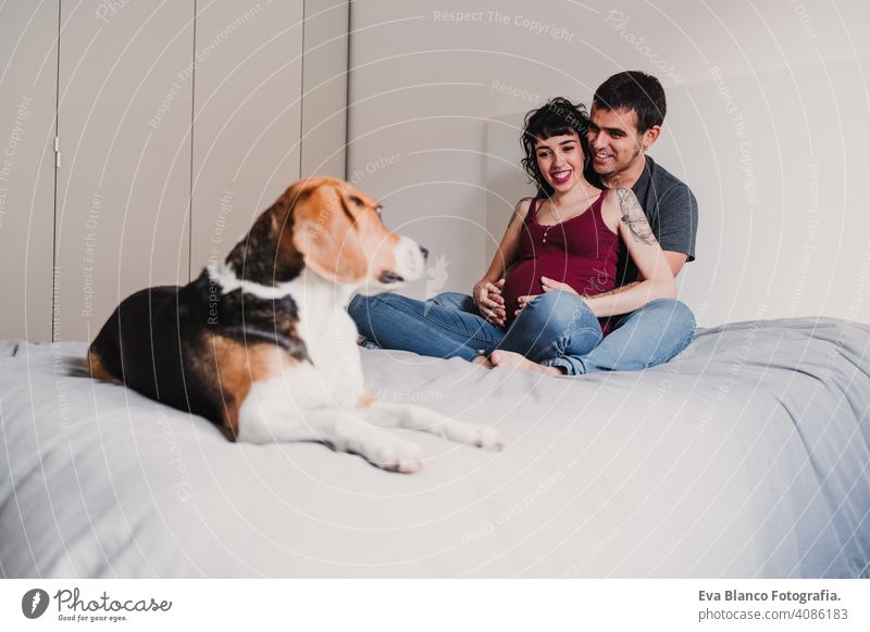 junges Paar zu Hause umarmen. Glückliche schwangere Frau lächelnd. niedlichen Beagle Hund neben Pfoten Liebe Eltern erwartend heimwärts Sofa Umarmung Kuss