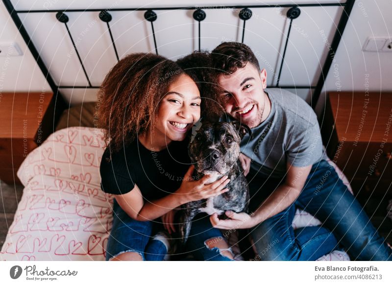 glückliches Paar in der Liebe zu Hause. Afroamerikanische Frau, kaukasischen Mann und ihre Pitbull-Hund zusammen. Familie Konzept Afroamerikaner ethnisch