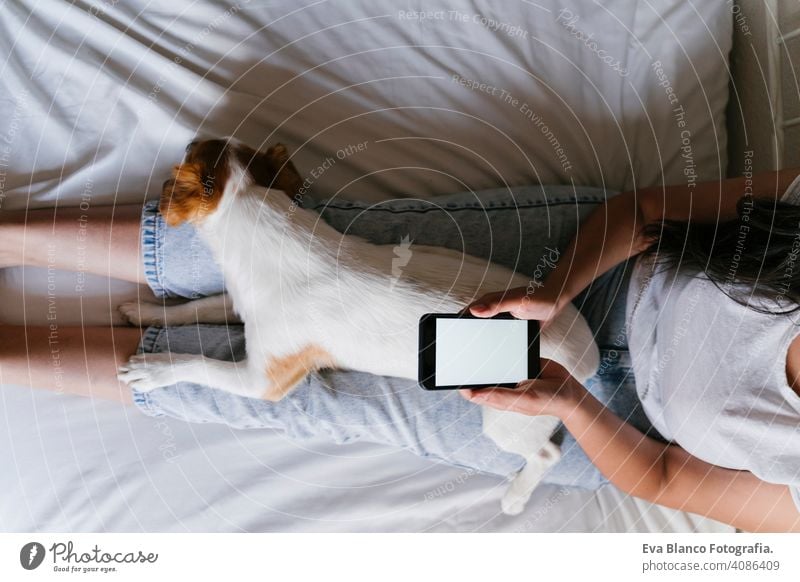 Junge kaukasische Frau auf dem Bett mit Handy. Netter kleiner Hund liegt daneben. Liebe für Tiere und Technologie-Konzept. Lebensstil im Innenbereich Mädchen
