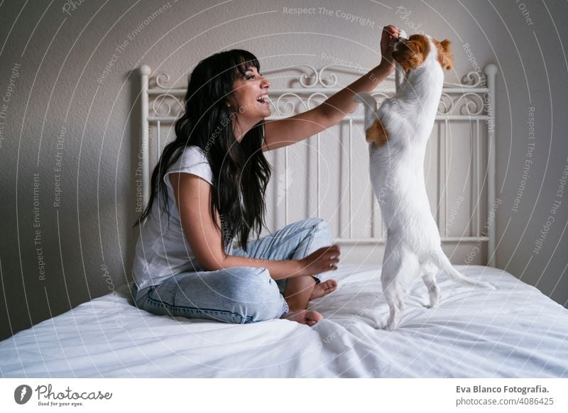 junge kaukasische Frau auf dem Bett mit ihrem niedlichen kleinen Hund spielen und geben ihm Leckereien. Liebe für Tiere Konzept. Lebensstil im Innenbereich