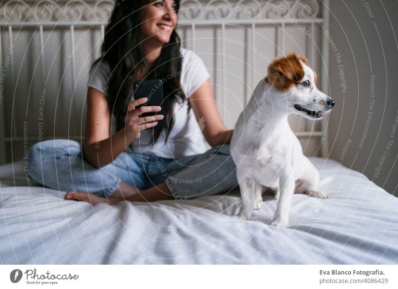 Junge kaukasische Frau auf dem Bett mit Handy. Netter kleiner Hund liegt daneben. Liebe für Tiere und Technologie-Konzept. Lebensstil im Innenbereich Mädchen