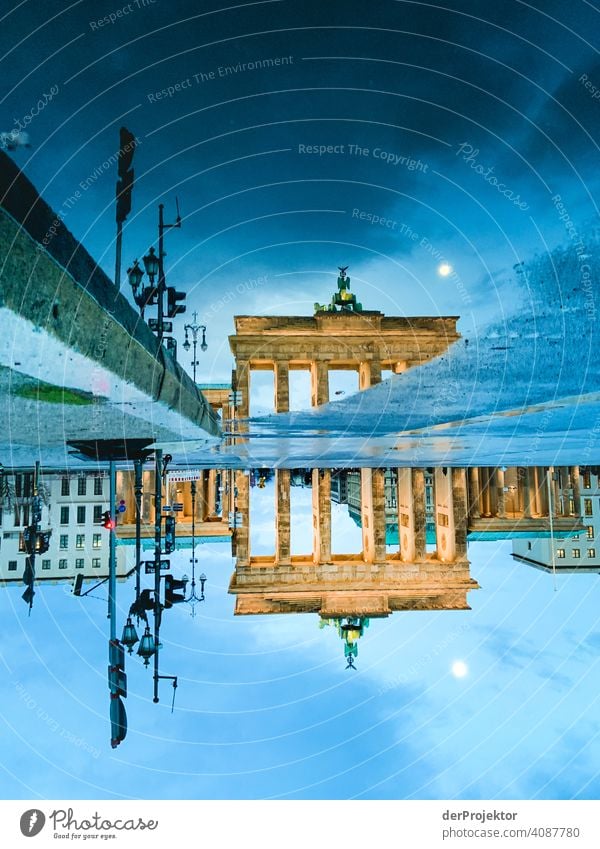 Brandenburger Tor in der Reflektion einer Pfütze II Zentralperspektive Reflexion & Spiegelung Schatten Textfreiraum oben Dämmerung Kunstlicht Licht