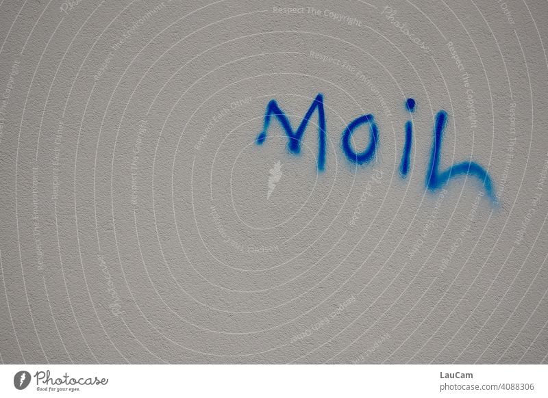 Blauer Graffiti–Schriftzug „Moin“ auf weißer Hauswand Wand Kunst Fassade Schmiererei Straßenkunst Wort Begrüßung Jugendkultur Mauer Wandmalereien Kreativität
