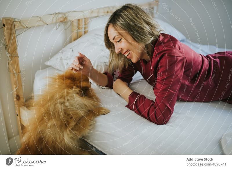 Lächelnde Frau im Bett liegend mit Hund Lügen jung Glück Haustier Tier schön Freundschaft niedlich Fröhlichkeit Schlafzimmer Morgen Zusammensein Lifestyle