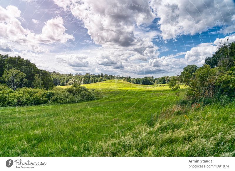 schöne wiesenlandschaft mit wald und dramatischem himmel aus mecklenburg-vorpommern, deutschland Himmel Wolkenlandschaft HDR Landschaft Wiese Mecklenburg