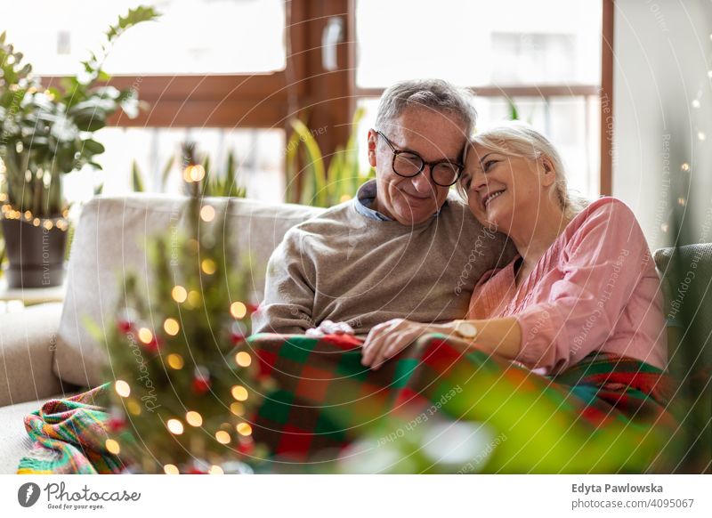 Älteres Paar, das in der Weihnachtszeit zusammen im Wohnzimmer sitzt Menschen Frau Erwachsener Senior reif lässig attraktiv männlich Mann Lächeln Glück