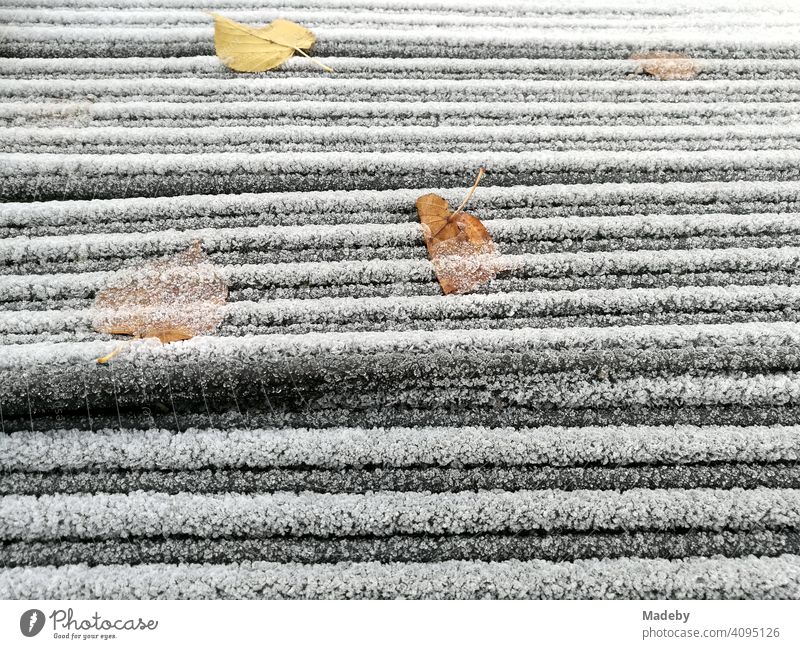 Raureif und Herbstlaub bei Minusgraden im Herbst auf gestapeltem Baumaterial im Freien in Lemgo bei Detmold in Ostwestfalen-Lippe Reif Frost Kälte Winter