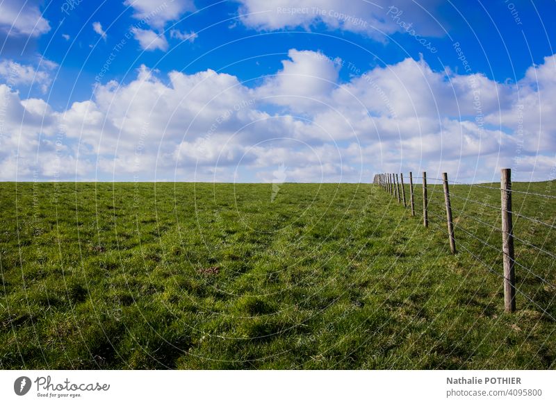Wiese mit Zaun und blauem Himmel Sommer Blauer Himmel Gras Wolken Landschaft Natur grün Außenaufnahme Schönes Wetter Feld Sonnenlicht Umwelt Weide Tag Farbfoto