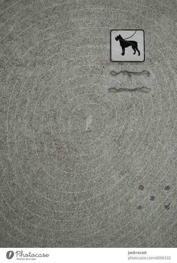 Hinweis ohne Worte. Hunde sind an der Leine zu führen Hinweisschild Piktogramm grau Monochrom Putz Quadrat Wand Zahn der Zeit verwittert verspachtelt einfach