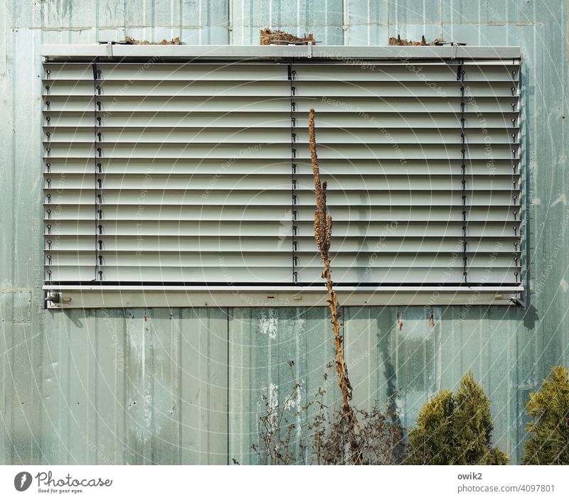 Strassenbild spiegelt sich in einem Schaufenster mit runtergelassener  Jalousie s/w - ein lizenzfreies Stock Foto von Photocase