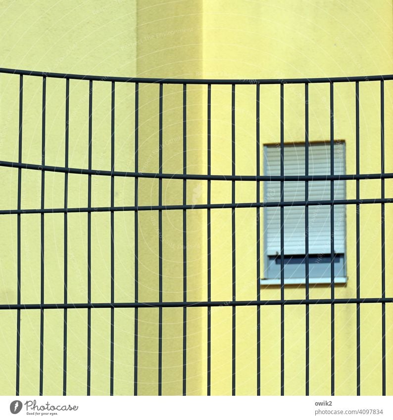 Alles unter Kontrolle Gitter Wand Fenster zitronengelb geschlosse Absperrung Barriere Sicherheit abweisend Schutz Strukturen & Formen Zaun Baustelle Metallzaun