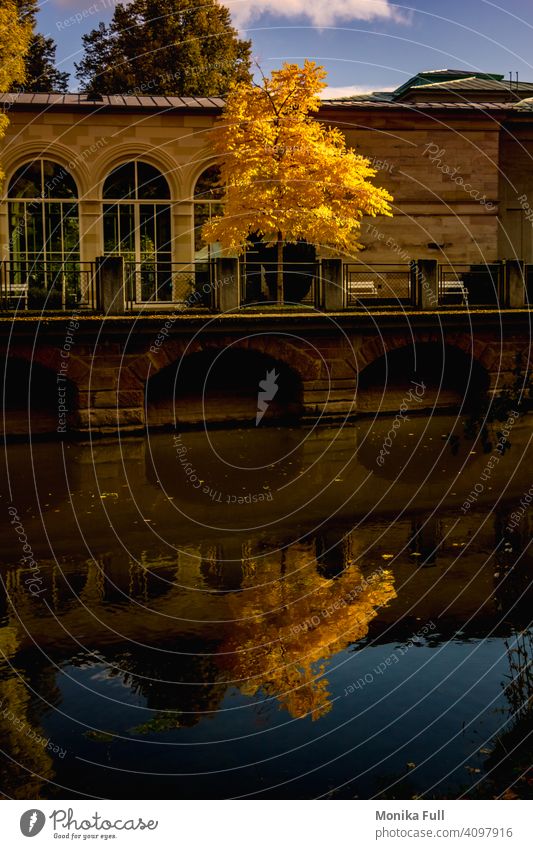 Goldener Oktober Herbst Laub gelb Fluss Spiegelung Gebäude Architektur altehrwürdig Reflexion & Spiegelung Wasser urban