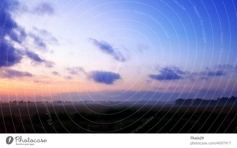 Natürliche Sonnenuntergang Sonnenaufgang über Feld oder Wiese. Helle dramatische Himmel und dunklen Boden. Countryside Sonne über Skyline, Horizont. Kalte Farben.