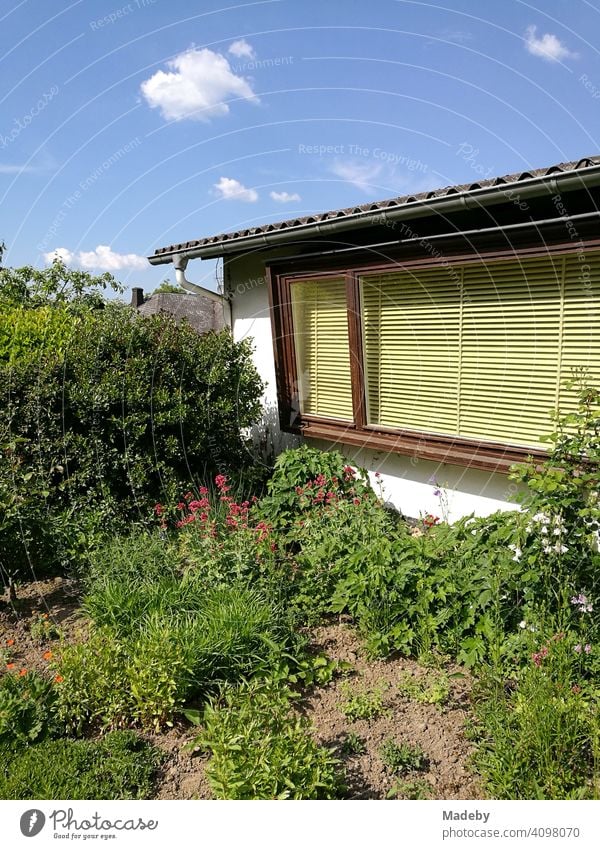 Großes Blumenfenster mit Jalousie in Gelb eines Wohnhaus der Fünfziger Jahre mit großem grünen Garten im Sommer bei Sonnenschein in Wettenberg Krofdorf-Gleiberg bei Gießen in Hessen
