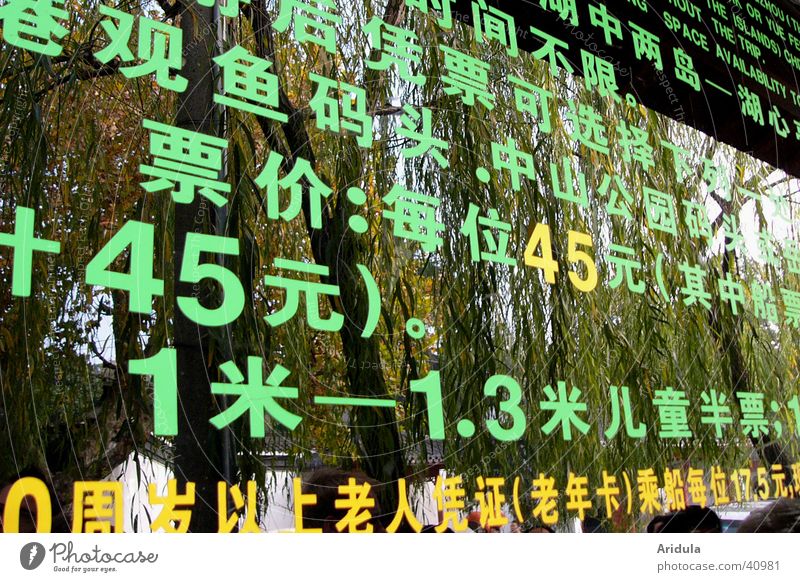 china_07 Preisliste Anordnung Reflexion & Spiegelung grün China Chinesisch Baum Typographie Kontrast Hangzhou Asien Ziffern & Zahlen Buchstaben Schriftzeichen