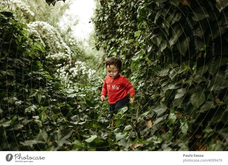 Kind läuft auf Laubpflanzen grün Grünpflanze Laubwerk 1-3 Jahre Kaukasier rot Pflanze Kleinkind Farbfoto Außenaufnahme Mensch Kindheit Natur Tag erkunden